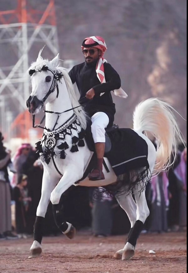 راس و سرع و صدريه اسود - Image 5
