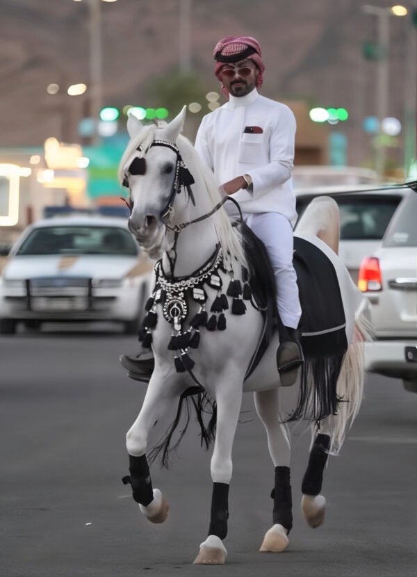 راس و سرع و صدريه اسود - Image 3