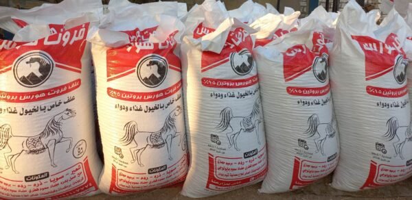 علف فروت هورس 15% بروتين - fruit horse feed 15% protein - Image 2