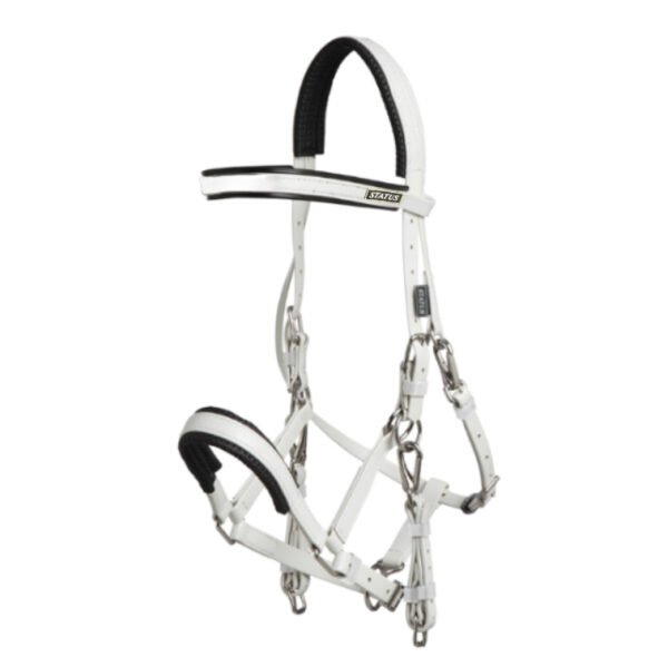 Status white full bridle سرع استيتوس ابيض كامل