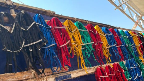 Fabric bridle سرع قماش