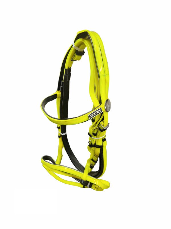Status phosphoric yellow full bridle