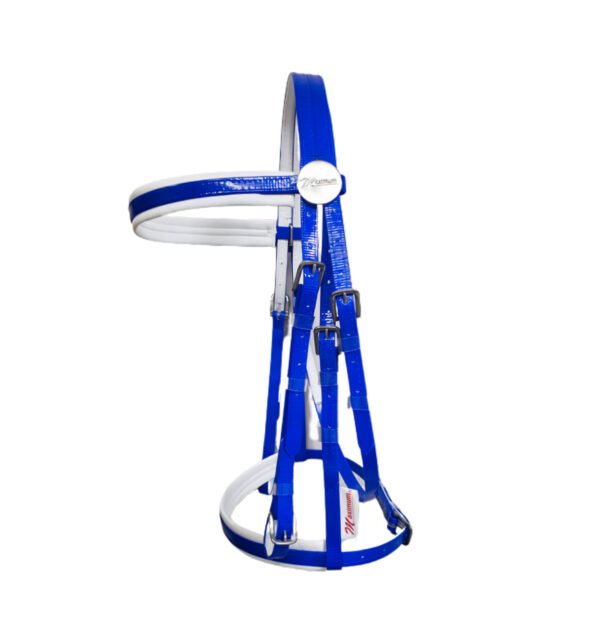blue maximum ( Launching soon ! )