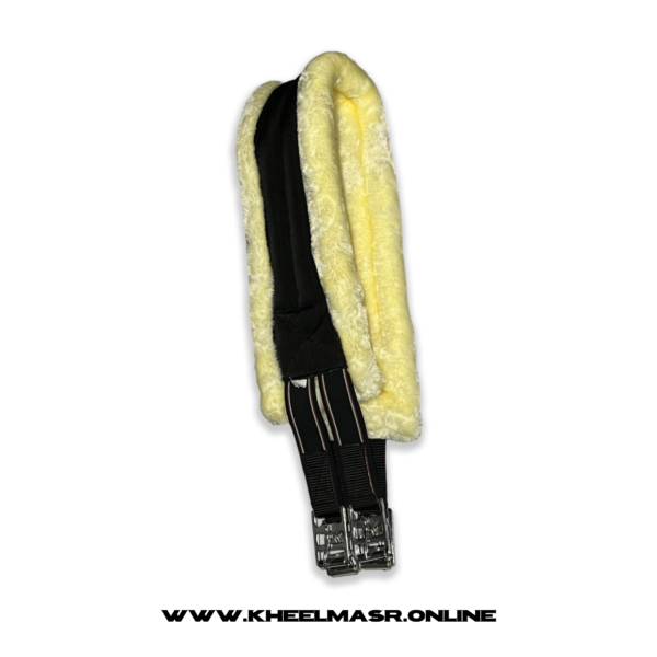 Saddle belt ( fur ) - شريحه مستورده فرو