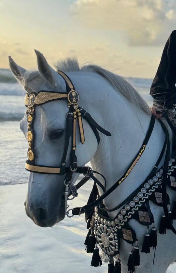 gold plated bridle راس نحاس مطلي ب ماء الدهب - Image 2