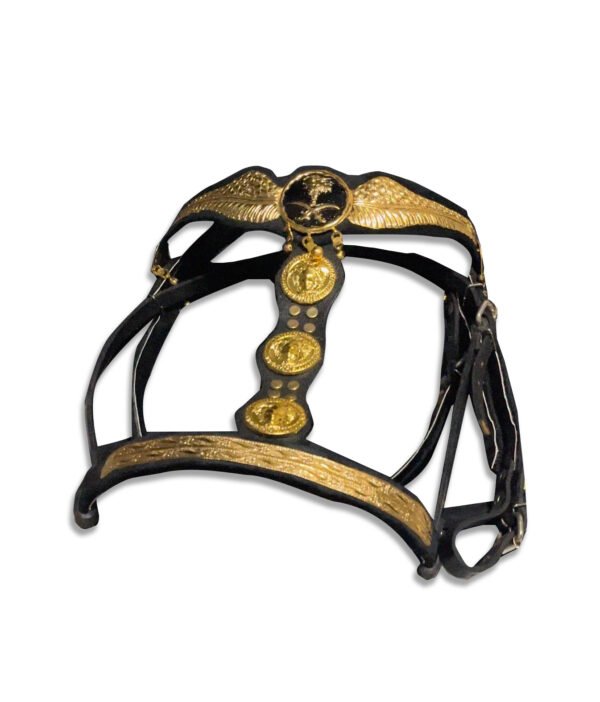 gold plated bridle راس نحاس مطلي ب ماء الدهب - Image 3