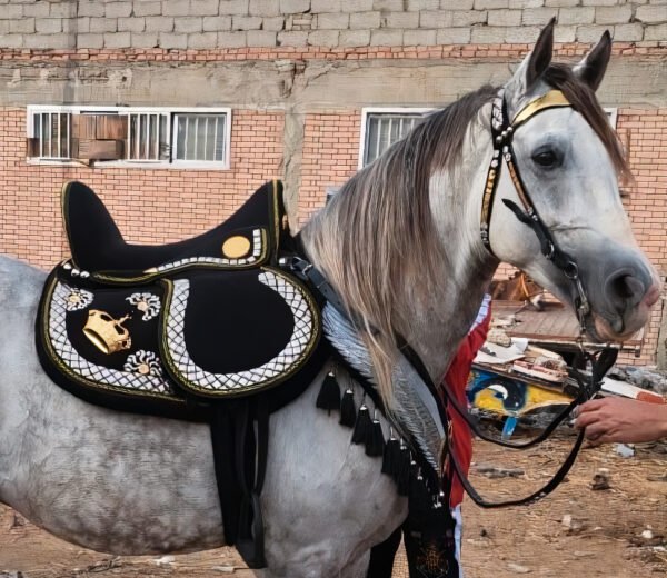 full set gold plated saddle سرج نحاس مطلي دهب كامل