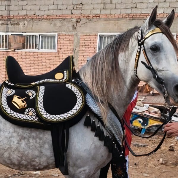 full set gold plated saddle سرج نحاس مطلي دهب كامل