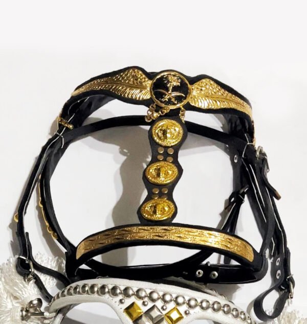 gold plated bridle راس نحاس مطلي ب ماء الدهب - Image 5
