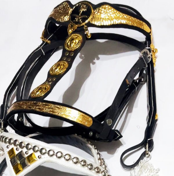 gold plated bridle راس نحاس مطلي ب ماء الدهب