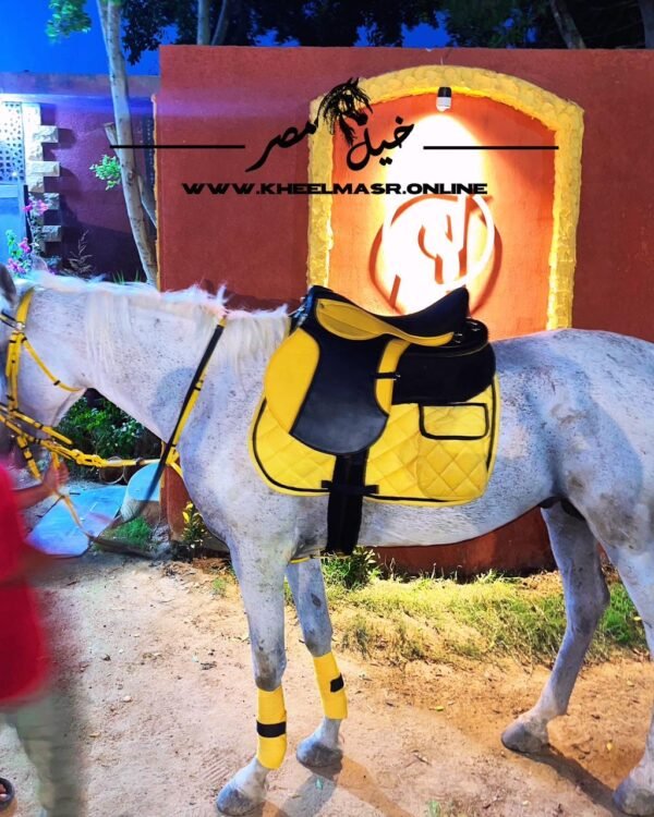 Riding saddle black in yellow edition سرج ركوب اسود في اصفر - Image 3