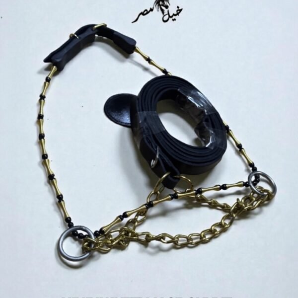 رشمه خرز دهبي في اسود كامله