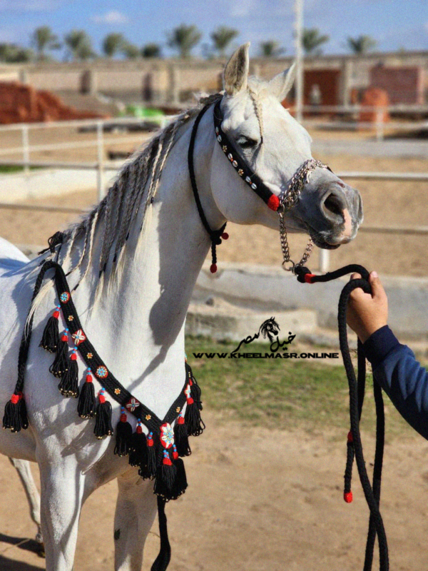 طقم صوف زينه اسود