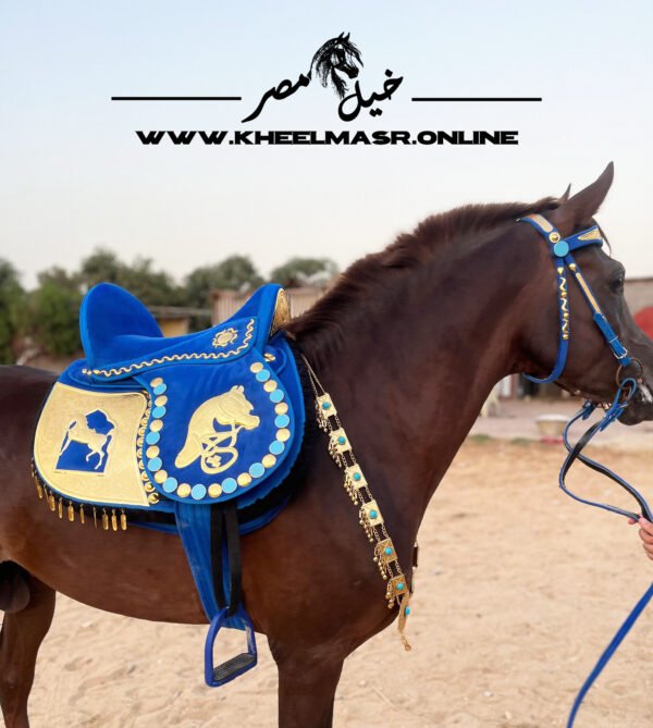 Blue gold plated customized سرج مطلي دهب عموله - Image 2