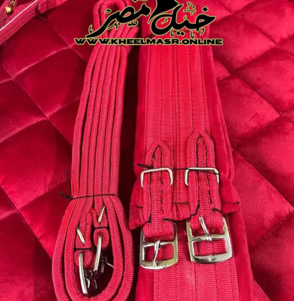 Red gold plated saddle سرج احمر مطلي دهب