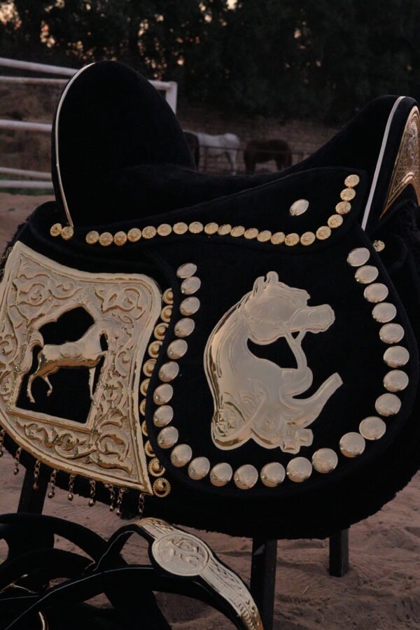 black golden plated saddle سرج اسود عموله مطلي بالكامل - Image 6