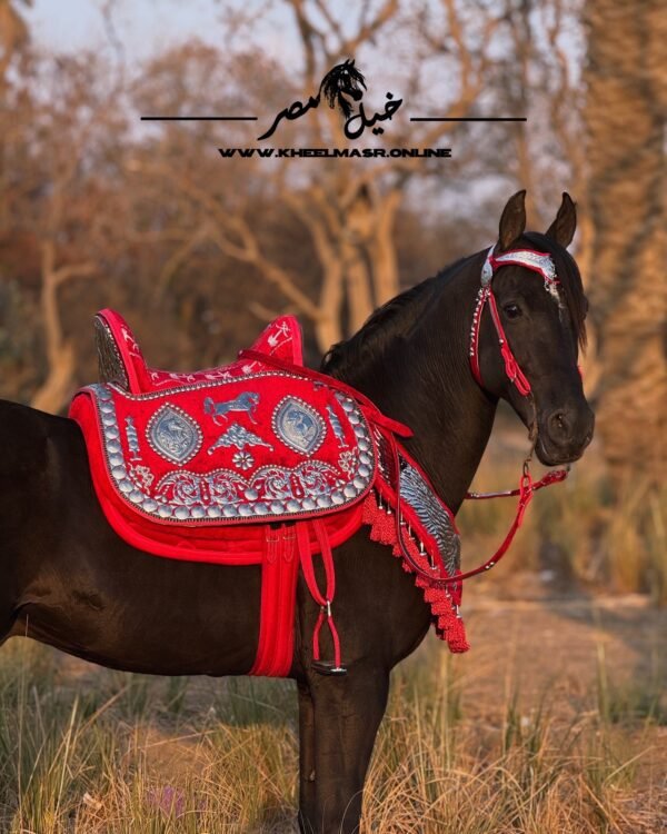 سرج عربي بالنحاس المطلي فضه - Image 4