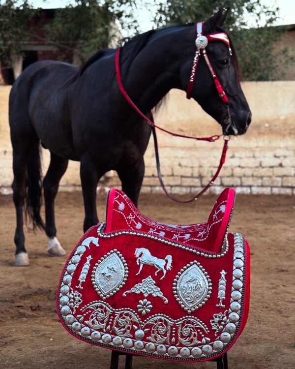 سرج عربي بالنحاس المطلي فضه - Image 6