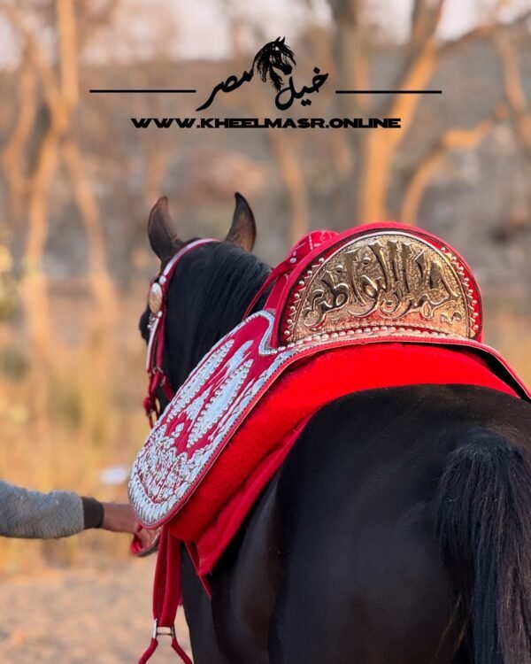 سرج عربي بالنحاس المطلي فضه - Image 9