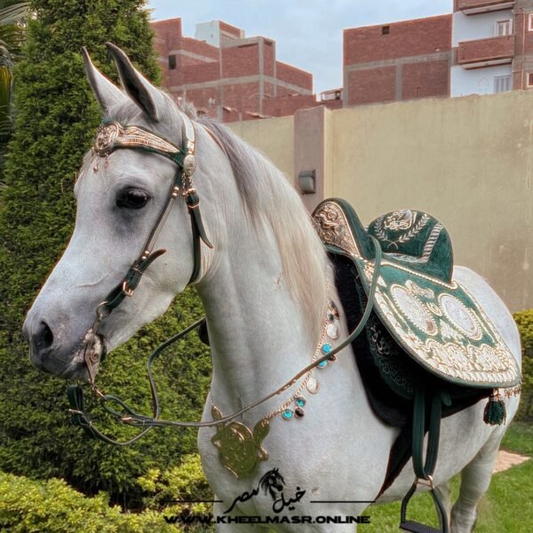 سرج عربي اخضر عموله مطلي فضه - Image 4