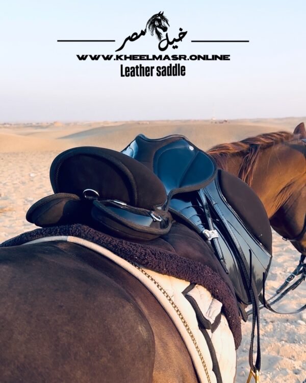 All new natural leather saddle سرج ركوب جلد طبيعي - Image 4