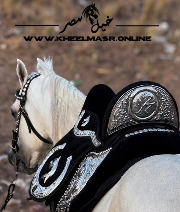 سرج اسود راس حصان و زخرفه اثريه - Image 5