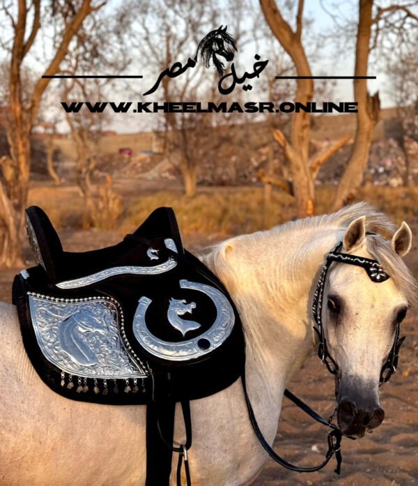 سرج اسود راس حصان و زخرفه اثريه - Image 6