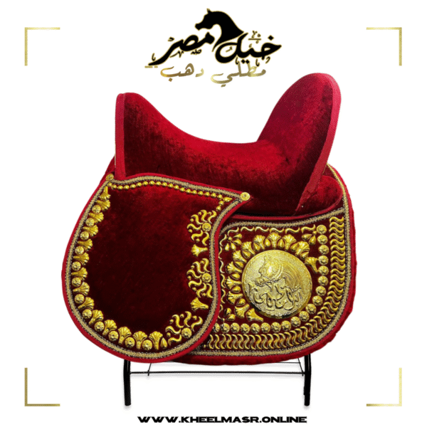 سرج نبيتي كوش عليه الاسم