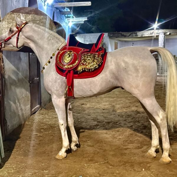 سرج عربي بالنحاس المطلي لون حمر