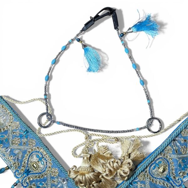 رشمه زينه بالصدريه للخيل العربي