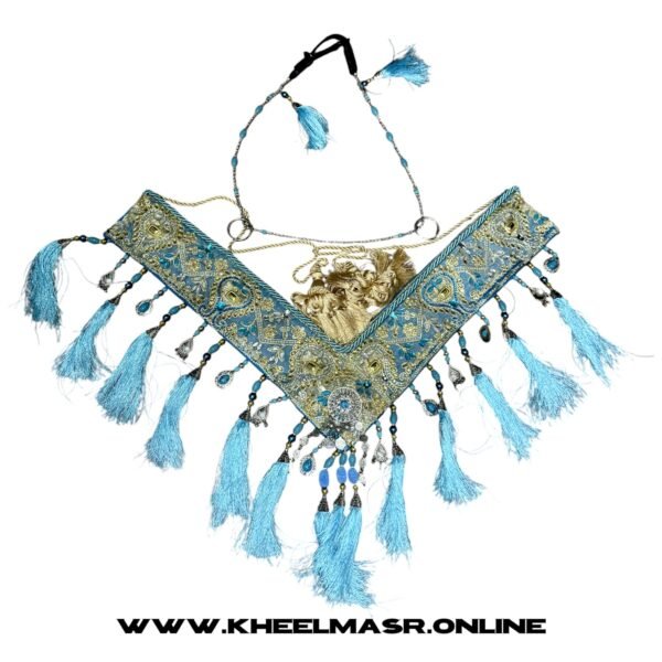 رشمه زينه بالصدريه للخيل العربي