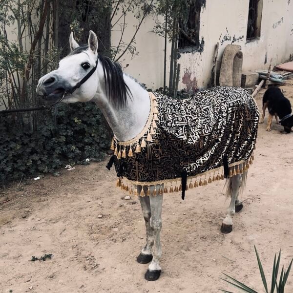 عبايه زخرفه دهبي black and gold blanket